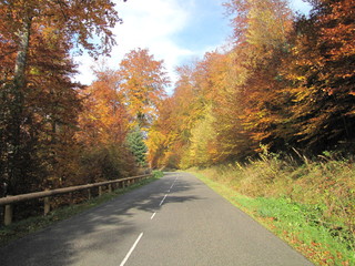 Obraz premium Automne