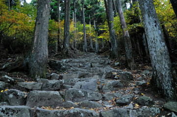 秋の登山道