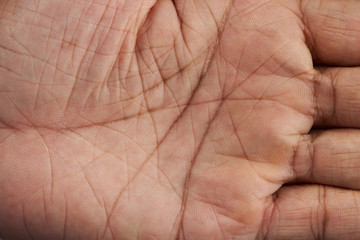 Lines on human hand palm