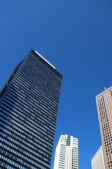 Obraz premium 新宿の高層ビル