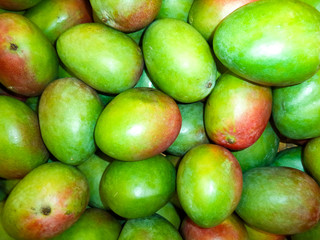 tropical fresh mango fruit piled in a pile