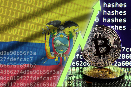 Ecuador flag and rising green arrow on bitcoin mining screen and two physical golden bitcoins