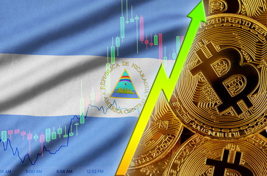 Nicaragua flag and cryptocurrency growing trend with many golden bitcoins - Powered by Adobe