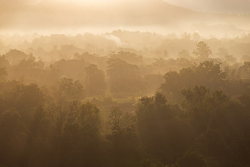sunrise and fog  in the mountains at Chiang Mai Thailand