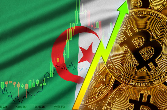 Algeria flag and cryptocurrency growing trend with many golden bitcoins