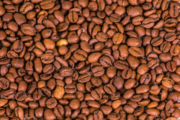 Coffe beans on cloth