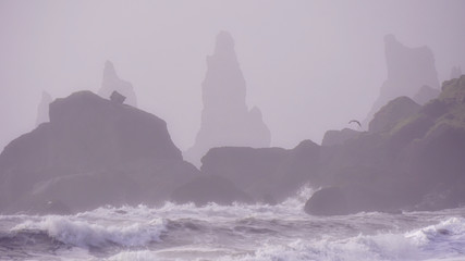 The Misty day morning at Reynisdrangar the volcanic rock formations at Reynisfjara black sand beach. Coast of the Atlantic ocean near Vik, southern Iceland.