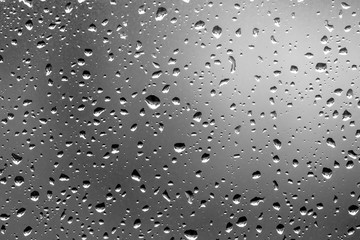 Water drops on dark background