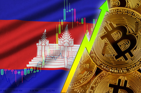 Cambodia flag and cryptocurrency growing trend with many golden bitcoins - Powered by Adobe