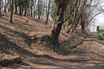 A narrow road in the mountain.
