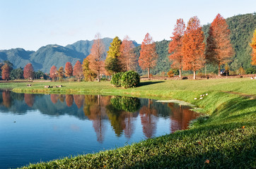 autumn landscape with lake and trees - 255492697