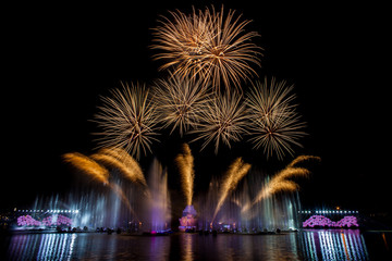 Beautiful fireworks in the night sky.