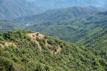 Fototapeta premium View Sea mountain in doiphuiko,maehongson , Thailand