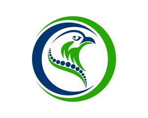 chiropractic solution 