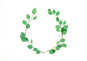 green eucalyptus branches herbs, leaves,  plants wreath, frame border on white background top view. copy space. flat lay