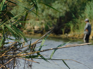  fisherman on the river bank in summer
