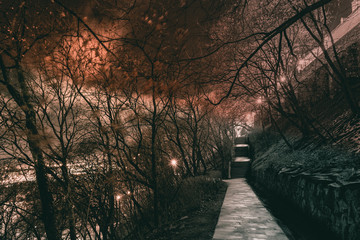 Dark fantasy landscape photo in the park at night