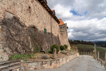Fototapeta na wymiar Schloss Staufenberg