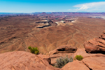 Fototapeta premium Canyonlands