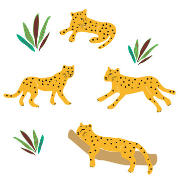 チーター イラストセット Stock ベクター Adobe Stock