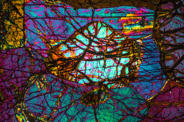 Abstract micrograph of olivine pyroxenite with polarization.