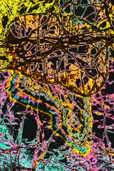 Digitally manipulated, abstract micrograph of olivine pyroxenite with polarization.