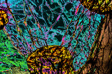 Digitally manipulated, abstract micrograph of olivine pyroxenite with polarization.