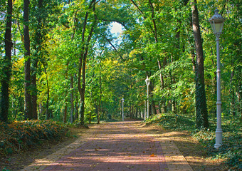 Red bricks pathway in Palic park, Serbia