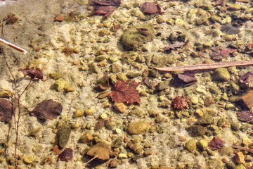 Пробуждение воды