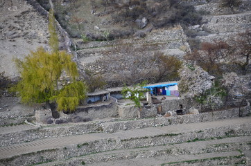 パキスタンのフンザの絶景　美しい村と棚田　伝統的なフンザの住居