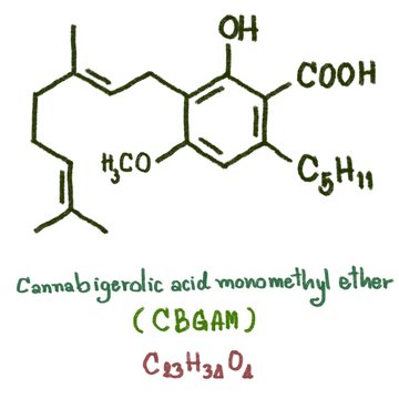 cannabigerolic acid monomethyl ether (CBGAM) were isolated with simple column chromatographic technique from the fresh Cannabis of the domestic strain. Cannabinolic acid (CBNA) observed in cannabis