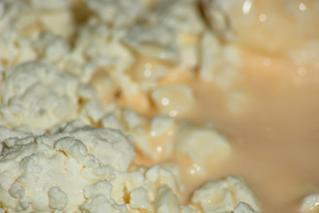 Fototapeta na wymiar Cottage cheese with yogurt