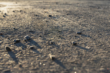frozen Field Track