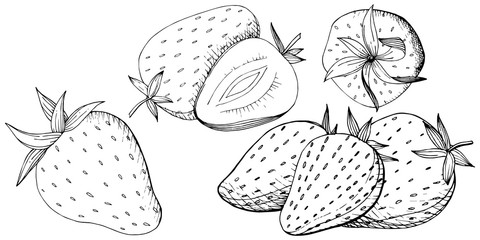 Vector Strawberry healthy food. Black and white engraved ink art. Isolated berry illustration element.