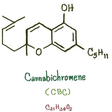 Cannabichromenic acid (CBCA), cannabichromene (CBC), cannabichromevarinic acid (CBCVA) and cannabichromevarin (CBCV) were isolated from Cannabis  indica