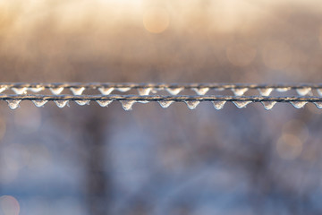 Wire in the ice. Drops of water froze in the winter. Frosted electrical lines.