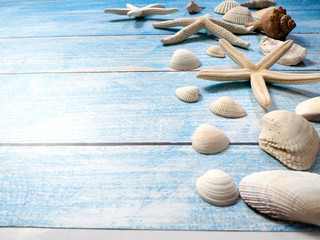 Marine objects, shells and starfish on wood