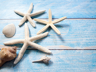 Marine objects, shells and starfish on wood