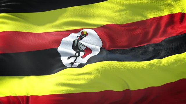 Flag of Uganda Loop