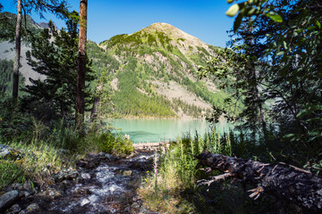 Mountain landscape with a water stream in Altai, Siberia,