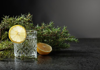 Gin , tonic with slices of lemon and a sprig of juniper .