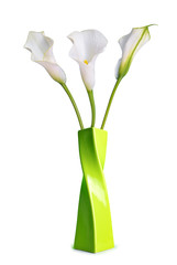 Beautiful white flowers Calla in green vase isolated on a white background. 