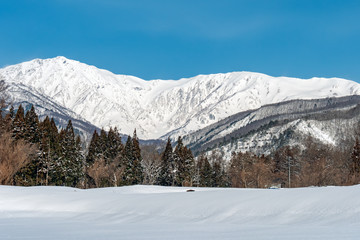Fototapeta na wymiar 長野県白馬村 雪山の雪景色