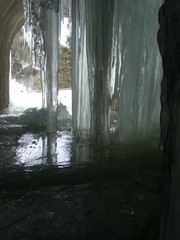frozen icicles in beautiful shapes