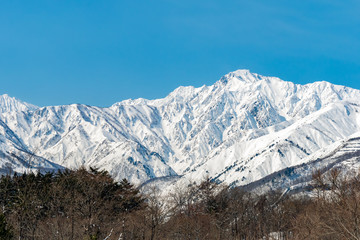 長野県白馬村 雪山の雪景色