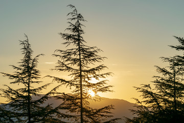 A sunrise photography over the Himalayas, taken from Chail
