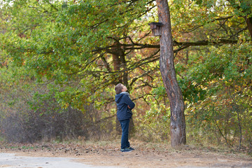 Fototapeta premium A boy with blue jacket looking looking at a birdhouse on a tree in the forest 