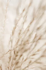 Rustikales Herbstfeld © Anna Studio