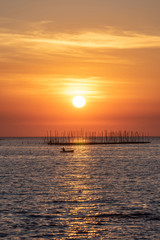 Oyster farm in the sea and beautiful sky sunset background , sun and clouds Landscape nature ,seascape at chonburi  province  Thailand
