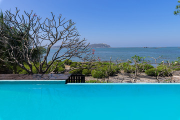 Swimming pool  blue water and tropical garden with sea view background